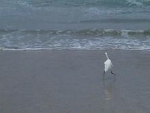 San Diego-20120610-00086